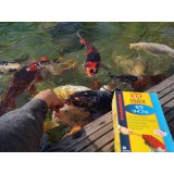 Bassin de jardin : SERA KOI SNACK, Fin de série