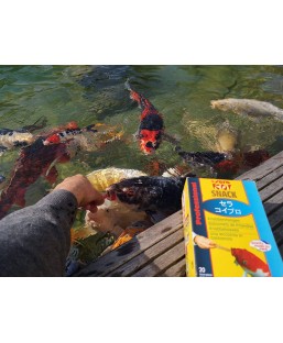 Bassin de jardin : SERA KOI SNACK, Fin de série