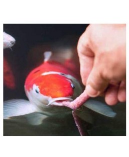 Bassin de jardin : SERA KOI SNACK, Nourriture Serapond