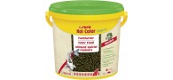 Bassin de jardin : SERA Koi Color Medium 3.8L (1.3kg), Nourriture Serapond