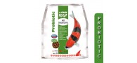 Bassin de jardin : 5kg sera Koi All Seasons Probiotic, Fin de série