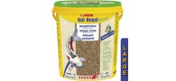 Bassin de jardin : SERA Koi Royal large 21L (5.80 KG), Nourriture Serapond