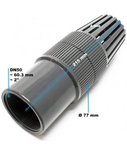 Bassin de jardin : Crépine DN50 60,3mm 2" Filetage femelle, Fin de série