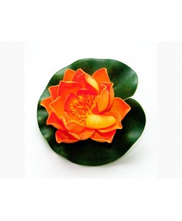 Bassin de jardin : LOTUS ORANGE 10CM, Nenuphars decoratifs