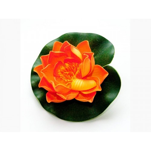 Bassin de jardin : LOTUS ORANGE 10CM, Nenuphars decoratifs