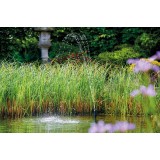 Bassin de jardin : Aquarius Fountain Set Classic 4000 E OASE, Pompe Oase bassin de jardin