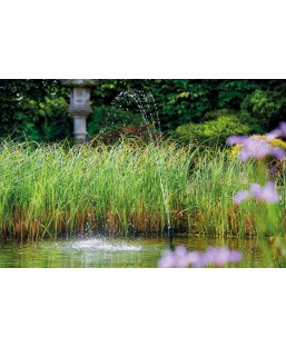 Bassin de jardin : Aquarius Fountain Set Classic 4000 E OASE, Pompe Oase bassin de jardin