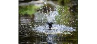 Bassin de jardin : Filter Fountain tout en 1 avec éclairage, Kit filtration immergés