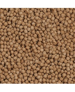 Bassin de jardin : SERA Koi Royal large 21L (5.80 KG), Nourriture Serapond