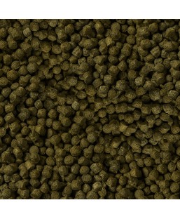 Bassin de jardin : SERA KOI COLOR Medium 1L (350g), Nourriture Serapond