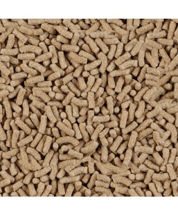 Bassin de jardin : Sera pond sticks Granulat 21L (3.5kg), Nourriture Serapond