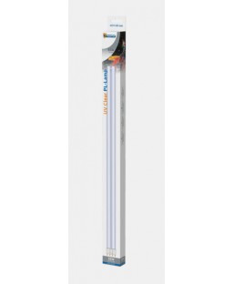 Bassin de jardin : Ampoule UVC 55W PL, AMPOULES UV PL