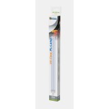 Bassin de jardin : Ampoule UVC PL 24W G23, AMPOULES UV PL
