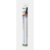 Bassin de jardin : Ampoule PL 24W G23, AMPOULES UV PL