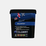 Bassin de jardin : Minéral Balantex 5000ml (GH-KH 35M3), Traitement Colombo