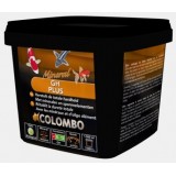 Bassin de jardin : Colombo GH+ 1000ml (Bassin de 7M3), Traitement Colombo