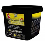 Traitement de l eau - Colombo Algisin 1000ml (Bassin de 10M3) - Col...