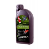 Bassin de jardin : Algadrex 500ml (Bassin de 5m3), Traitement Colombo