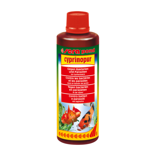 Bassin de jardin : Sera pond Cyprinopur 250ml (5000L), Traitements Sera