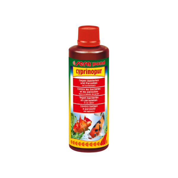 Bassin de jardin : Sera pond Cyprinopur 250ml (5000L), Traitements Sera