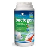 Bassin de jardin : Bactogen 12000, Traitement Aquatic Science