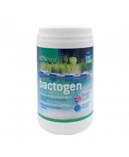 Bassin de jardin : Bactogen 24000, Traitement Aquatic Science