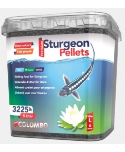 Bassin de jardin : COLOMBO ESTURGEON FOOD 5L 3250g (6 mm LARGE), Esturgeons