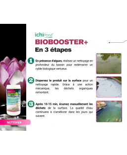 Bassin de jardin : Biobooster + 200M3, Traitement Aquatic Science