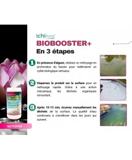 Bassin de jardin : Biobooster + 40000, Traitement Aquatic Science
