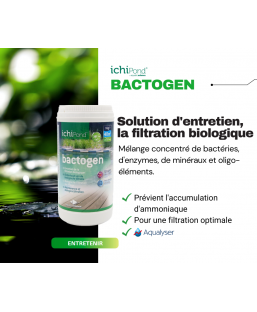 Bassin de jardin : Bactogen 12000, Traitement Aquatic Science