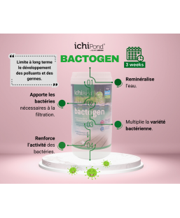 Bassin de jardin : Bactogen 200 m3, Traitement Aquatic Science