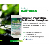 Bassin de jardin : Bactogen 200 m3, Traitement Aquatic Science