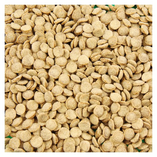 Nourriture Pour Poissons De Bassin JBL PROPOND Autumn+Prepare 1,5kg - Aliment D'automne Riche En énergie - 7