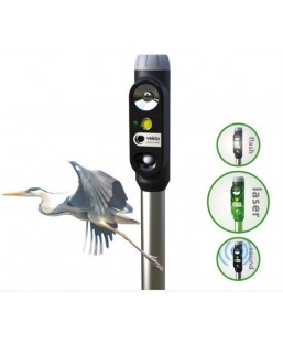 Bassin de jardin : Heron Laser Guard, Anti héron