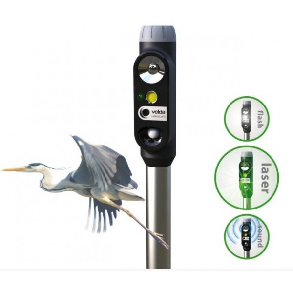 Bassin de jardin : Heron Laser Guard, Anti héron