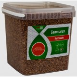 Bassin de jardin : VIVANI GAMMARUS 2,5L/280G, Nourriture KIYOMIZU VIVANI