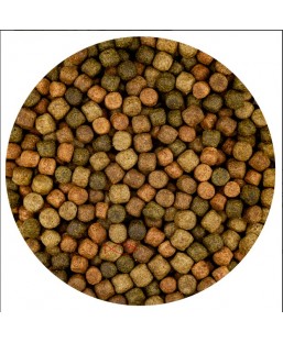 Bassin de jardin : VIVANI TOP MIX 6 MM 6KG, Nourriture KIYOMIZU VIVANI