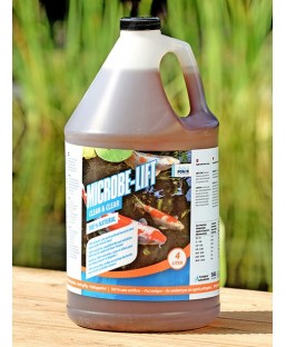 Bassin de jardin : MICROBE-LIFT CLEAN & CLEAR 4 litres, Traitement Microbe Lift