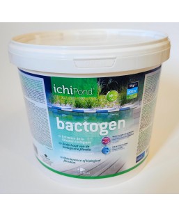 Bassin de jardin : Bactogen 200 m3, Traitement Aquatic Science