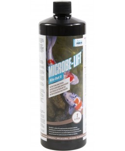 Bassin de jardin : Microbe-Lift Nite-out 500ml, Traitement Microbe Lift