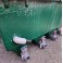 Filtre EDOUNA 4 Upflow MODE POMPAGE (COUVERCLES- bactérial house)