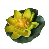 Bassin de jardin : LOTUS JAUNE 10CM, Nenuphars decoratifs