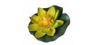 Bassin de jardin : LOTUS JAUNE 10CM, Nenuphars decoratifs