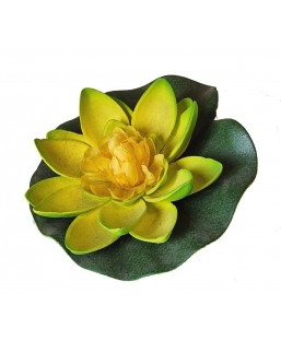 Bassin de jardin : LOTUS JAUNE 10CM, Nenuphars decoratifs