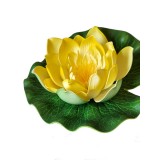 Bassin de jardin : LOTUS JAUNE 17CM, Nenuphars decoratifs