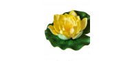 Bassin de jardin : LOTUS JAUNE 17CM, Nenuphars decoratifs