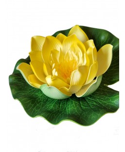 Bassin de jardin : LOTUS JAUNE 17CM, Nenuphars decoratifs