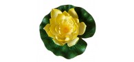 Bassin de jardin : LOTUS JAUNE 17CM, Nenuphars decoratifs