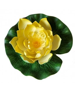 Bassin de jardin : LOTUS JAUNE 17CM, Nenuphars decoratifs