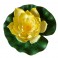 Bassin de jardin : LOTUS JAUNE 17CM, Nenuphars decoratifs